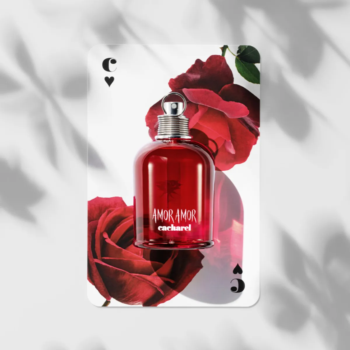 Cacharel Pour Elle|- Coffret Amor Amor Eau de Toilette 50ml + 2 produits