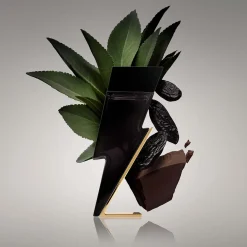 Carolina Herrera Eau De Toilette|- Bad Boy Eau de Toilette
