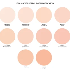 Caron Poudre Matifiante|- Poudre Libre Classique