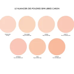 Caron Poudre Matifiante|- Poudre Semi-libre Transparente