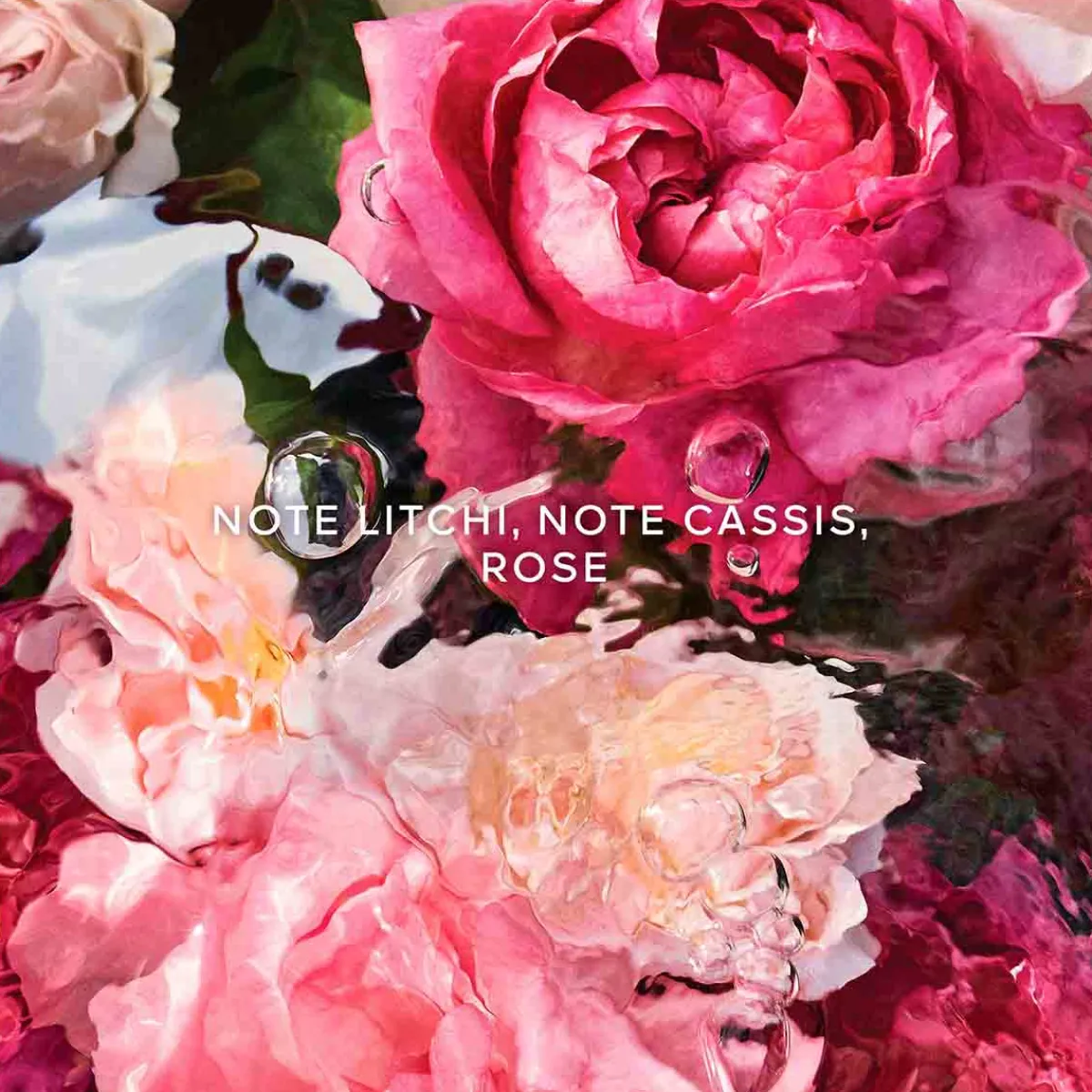 Guerlain Soin Des Mains|- Aqua Allegoria Rosa Rossa - Crème Mains 50 ml