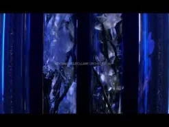 Guerlain Soin Anti-Âge|Recharges De Soin Visage|- Orchidée Impériale - Recharge Crème 50 ml