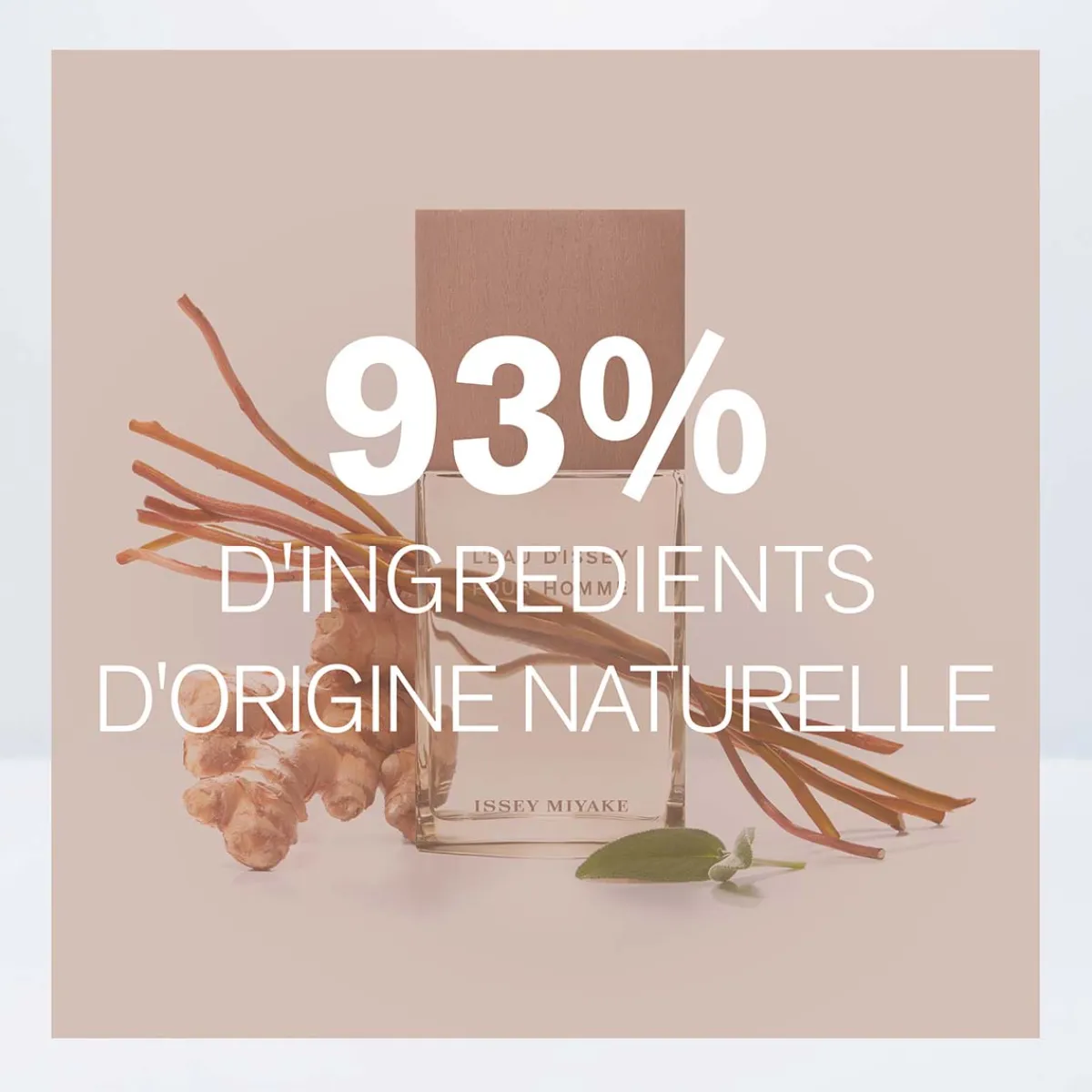 Issey Miyake Parfums Vegan|Eau De Toilette|- L'Eau d'Issey pour Homme Vétiver