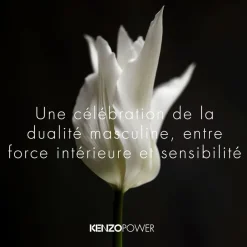 Kenzo Eau De Toilette|- Power - Eau de Toilette Vaporisateur 75 ml