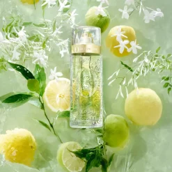 Lancôme Eau De Toilette|- Ô de - Eau de Toilette