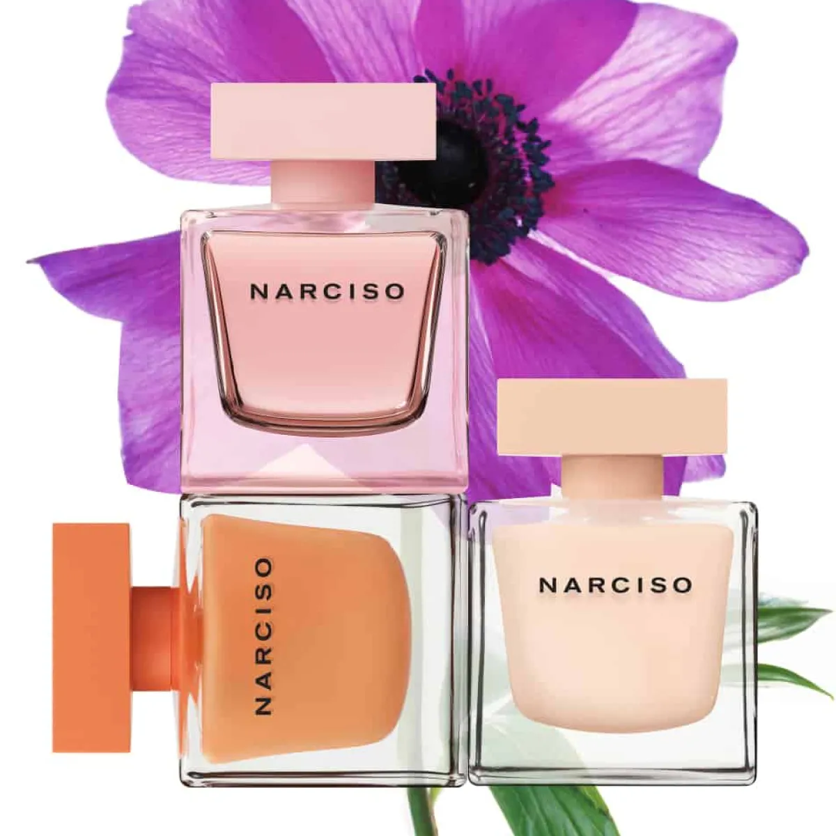 Narciso Rodriguez Pour Elle|Eau De Parfum|- Coffret cadeau narciso Eau de Parfum Poudrée - EDP 90ml + Vapo 10ml