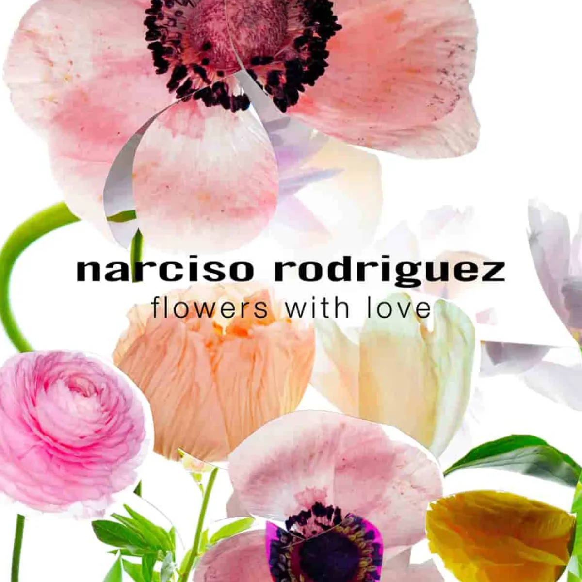Narciso Rodriguez Pour Elle|Eau De Parfum|- Coffret cadeau narciso Eau de Parfum Poudrée - EDP 90ml + Vapo 10ml