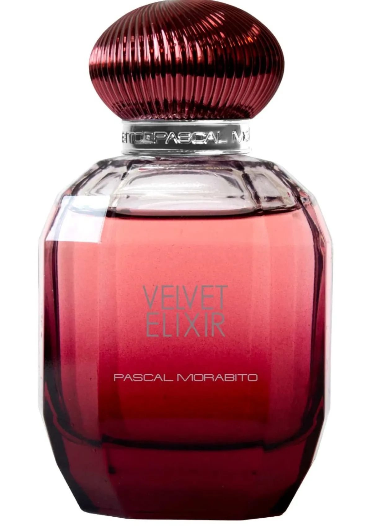 Pascal Morabito Parfums Pas Cher|Eau De Parfum|- Velvet Elixir - Eau de Parfum Vaporisateur 100 ml
