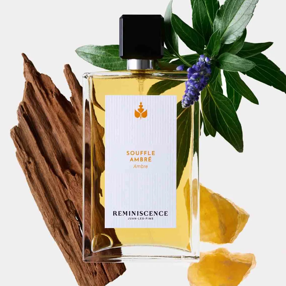 Reminiscence Eau De Toilette|- Souffle Ambré - Eau de Toilette Intense