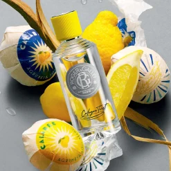 Roger & Gallet Eau Parfumée|Nettoyant|- Coffret Cologne Twist - Eau de Cologne 100ml + Pain Nettoyant 3-en-1 100g