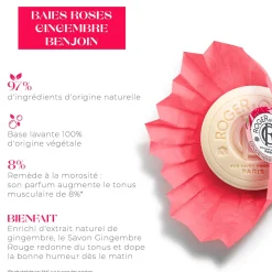 Roger & Gallet Savon|- Gingembre Rouge - Savon Bienfaisant 100g
