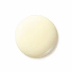 Shiseido Soin Anti-Âge|Crèmes De Jour|- Benefiance - Emulsion Jour Anti-Rides SPF20 75 ml