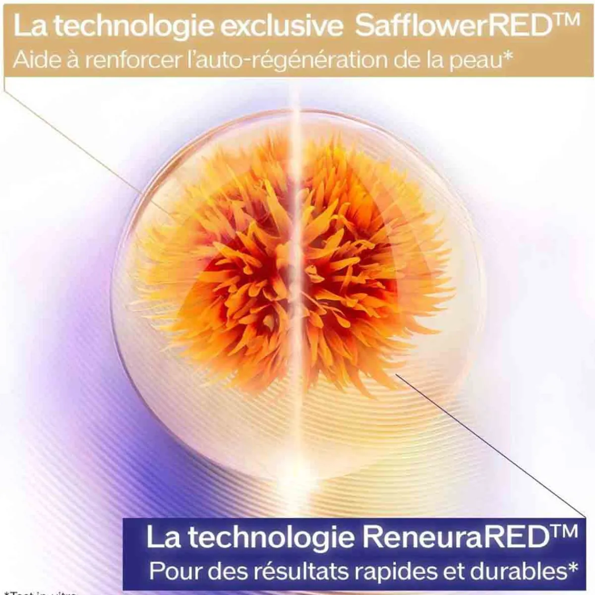 Shiseido Soin Anti-Âge|- Vital perfection - Crème Lift Fermeté Enrichie
