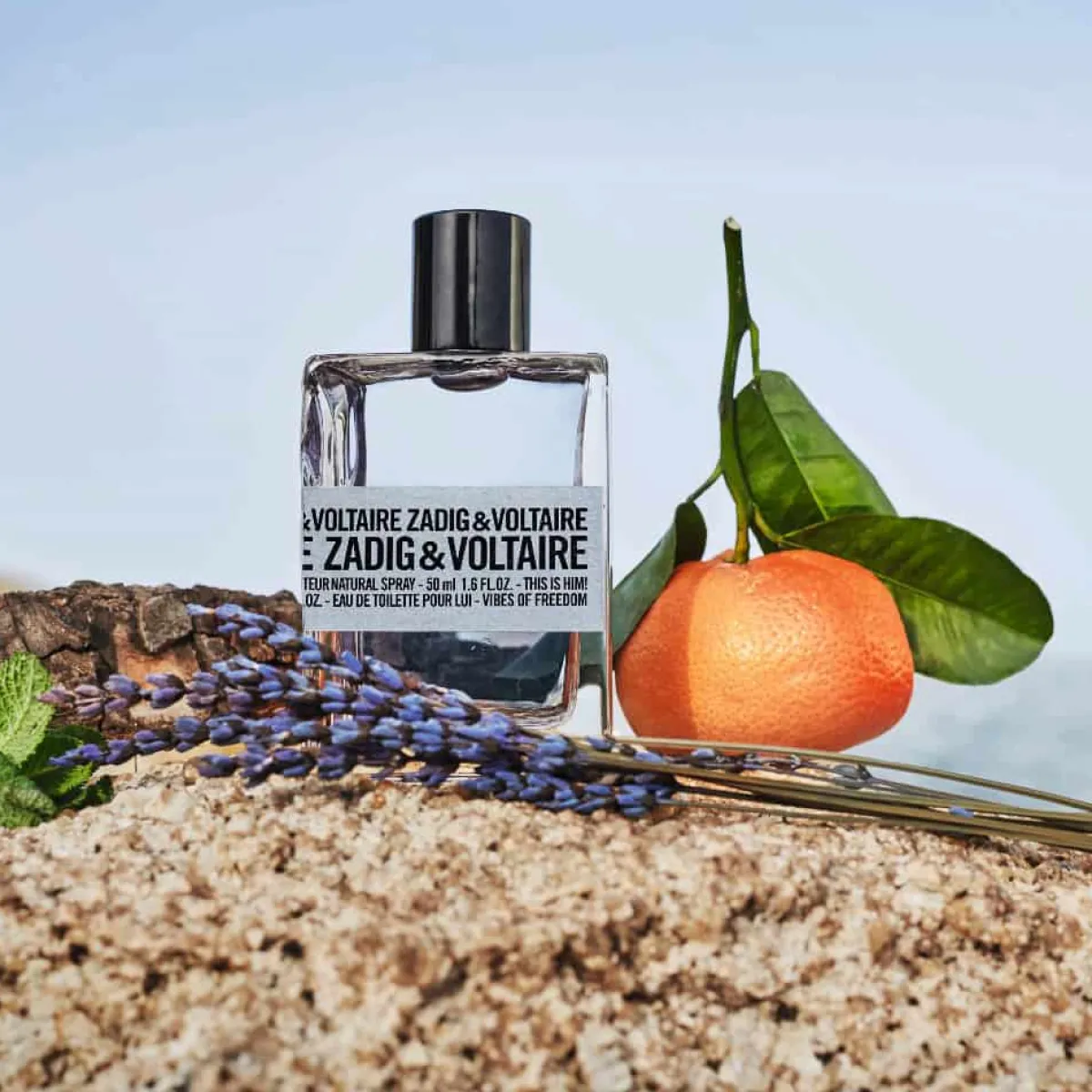 Zadig & Voltaire Eau De Toilette|- This is Him! Vibes of Freedom